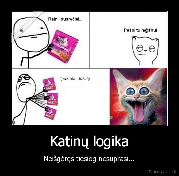 Katinų logika
