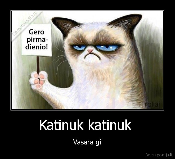 Katinuk katinuk 