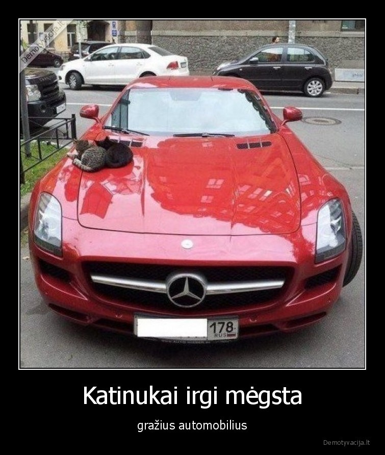 kates,katinukai,katinai,irgi,megsta,grazius,automobilius,auto,super