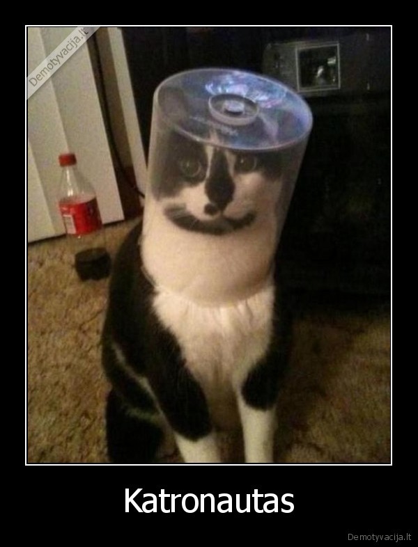 Katronautas