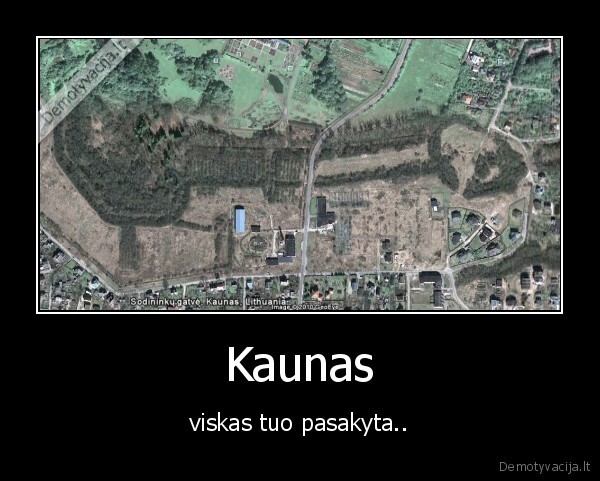 kaunas,gamta,penis,gamta,taves,nekencia,kubilius,cia,del,visko,kaltas