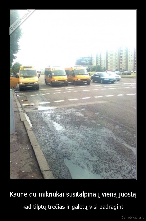 Kaune du mikriukai susitalpina į vieną juostą