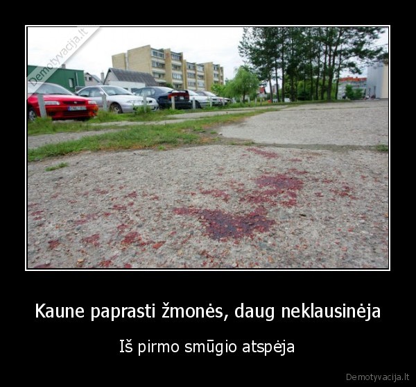 Kaune paprasti žmonės, daug neklausinėja