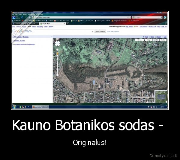 kaunas,kubilius, papiso, tavo, motina,botanikos,sodas