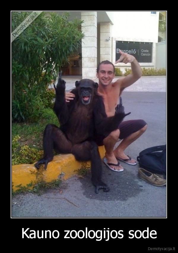 Kauno zoologijos sode