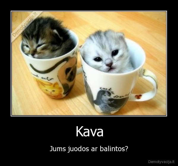 kava,juoda,balinta,kates