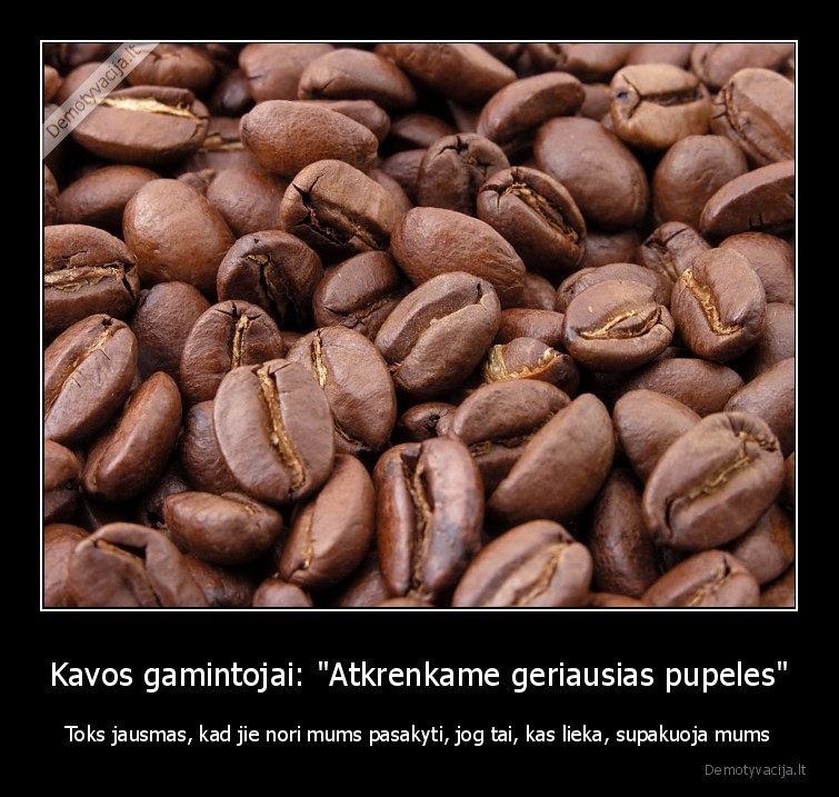 kava,kavos, gamintojai