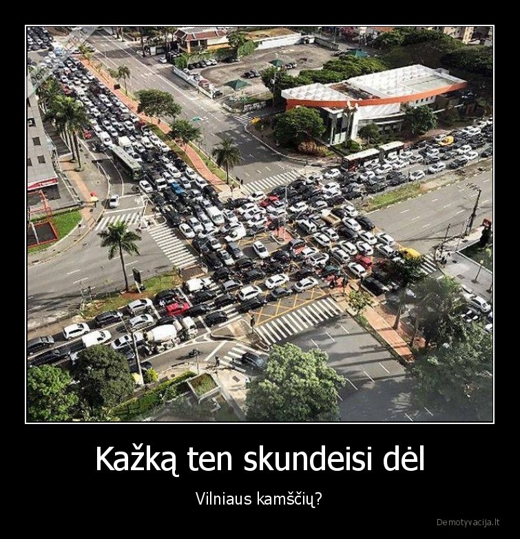 kamsciai,buna,blogiau