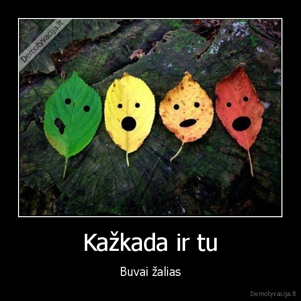 zalias, gyvenimas, po, to, nebe