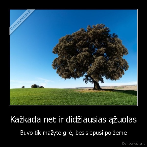 azuolas,motyvacija,gile