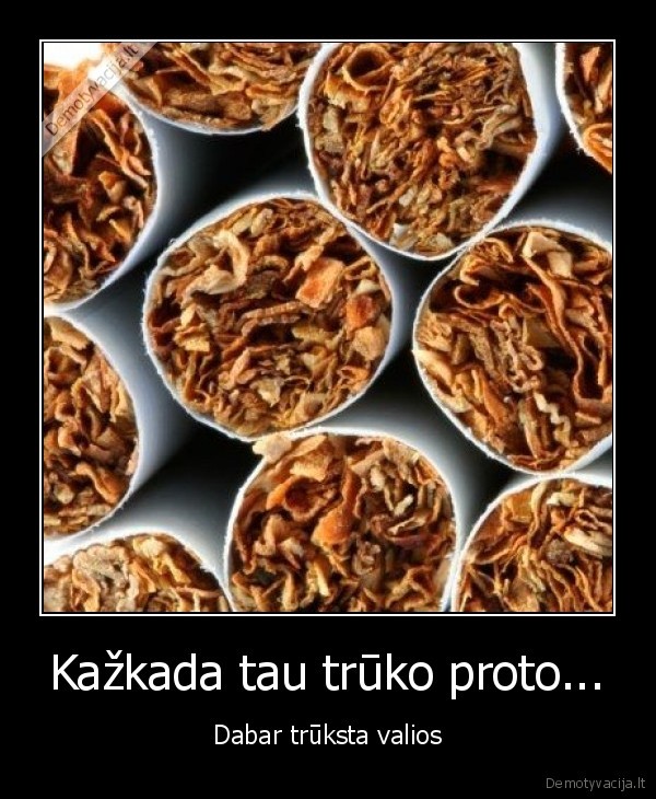 Kažkada tau trūko proto...