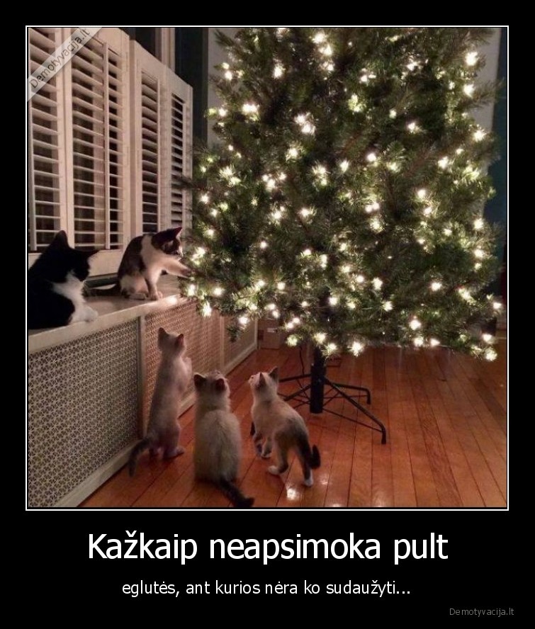 katinai,eglute,zaisliukai