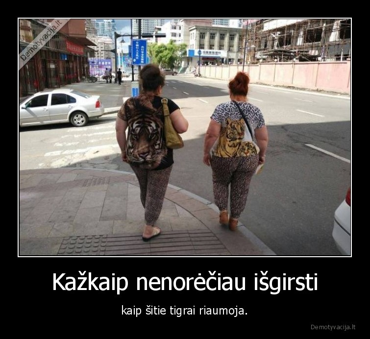 tigrai,riaumojimas,wtf