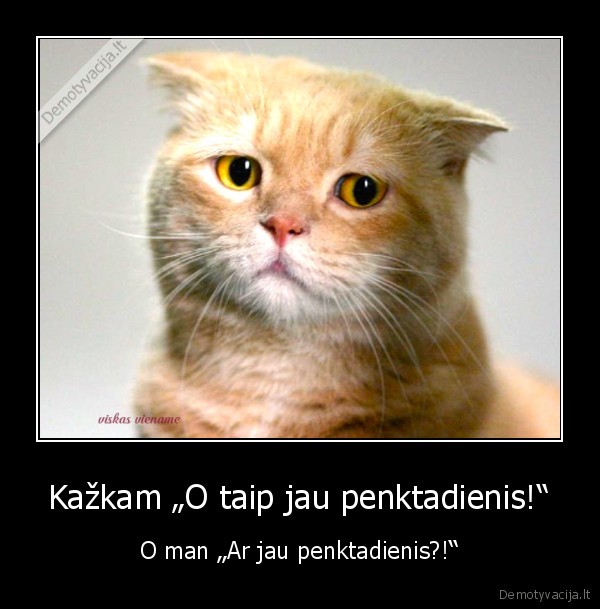 penktadienis,nuostaba