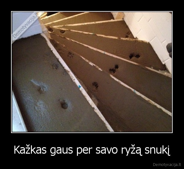 Kažkas gaus per savo ryžą snukį