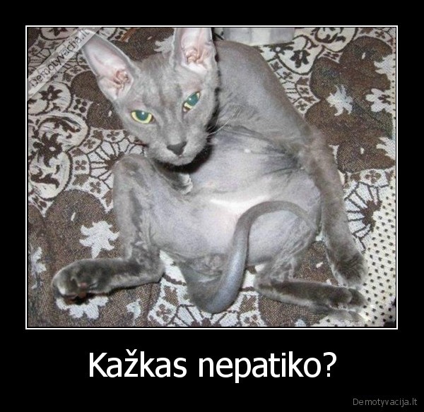 Kažkas nepatiko?