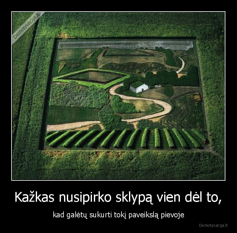 menas,paveikslas,pieva,sklypas