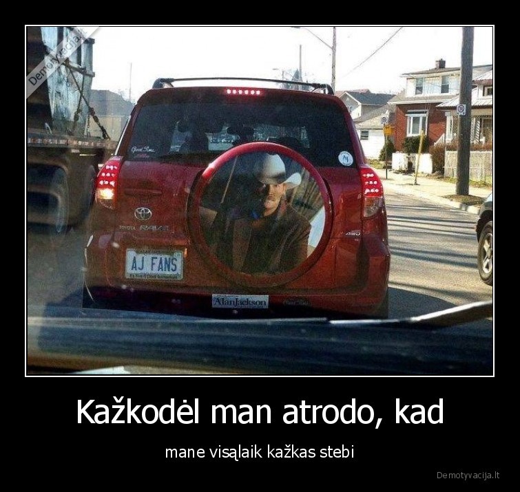 stebi,visalaik,atrodo