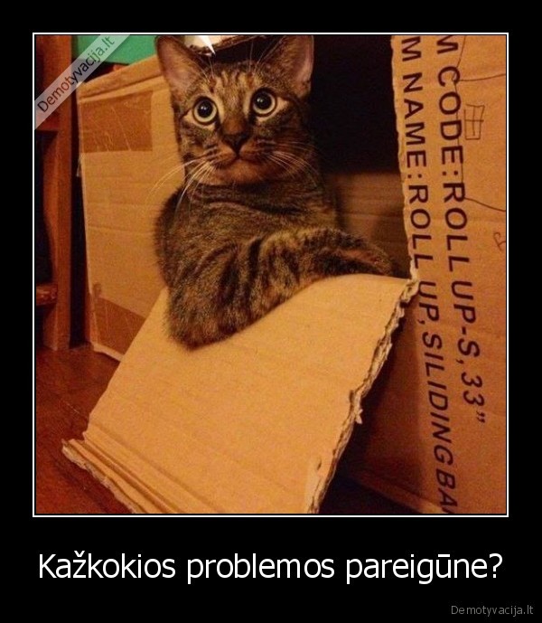 Kažkokios problemos pareigūne?