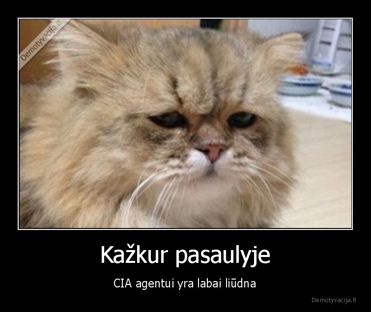 cia,agentas,liudnas,kazkur,pasaulyje