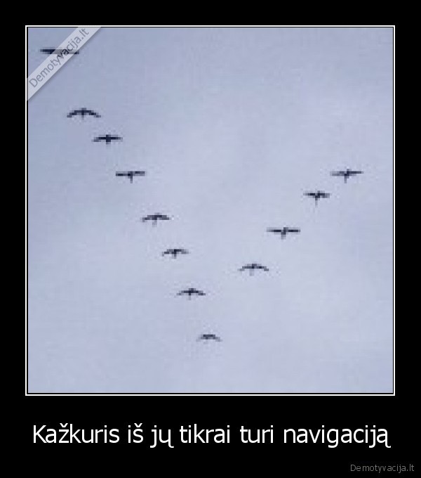 Kažkuris iš jų tikrai turi navigaciją