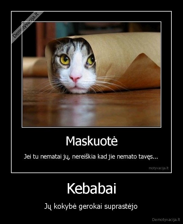 katinas, kebabas,demotyvacija,gyvas