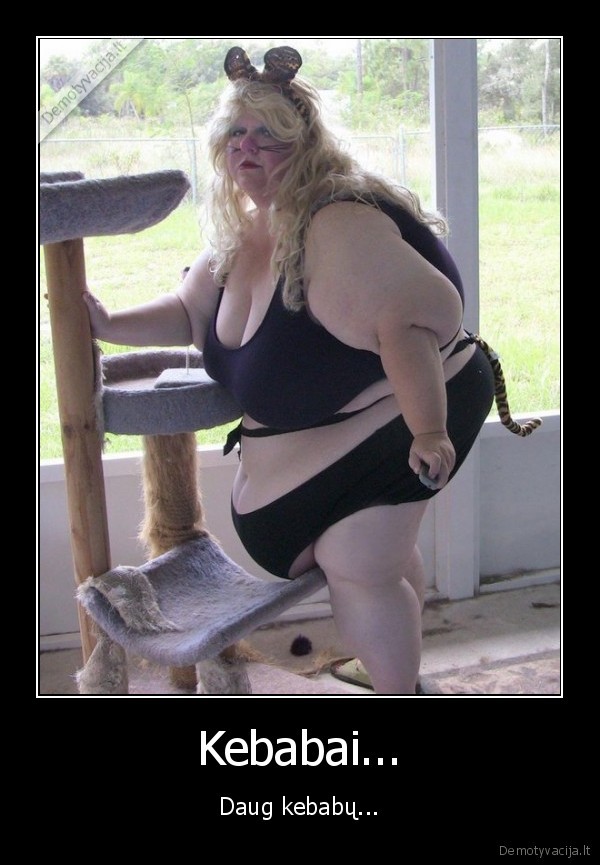 kebabai,kebabas,storule,pakanka, lasiniu