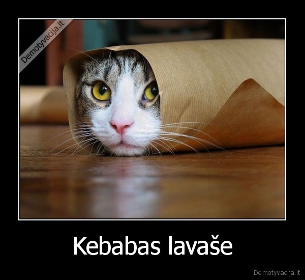 cat,kate,katinas,kebabai,kebabas,lavasas
