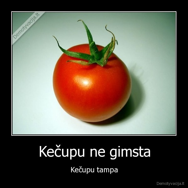 kuciupas,pomidoras