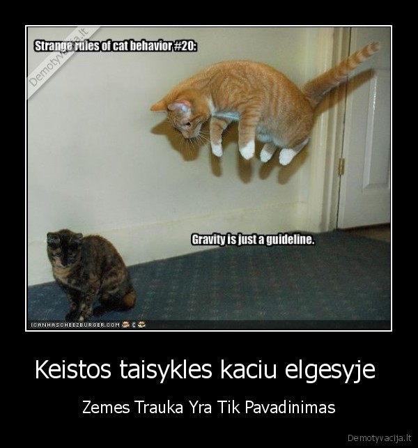 kates,trauka,zeme
