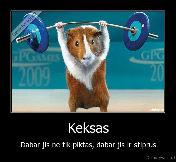 keksas,piktas,stiprus