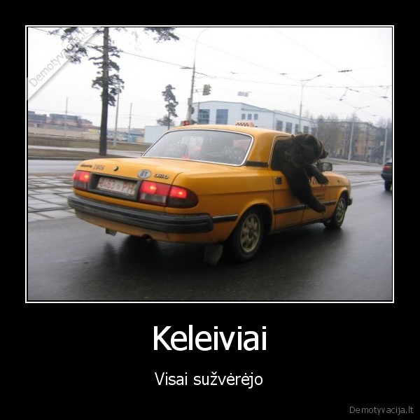 meska,lokys,taksi,miestas,kelione,transportas