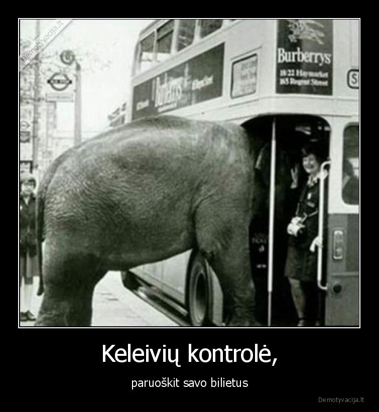 bilietai,paruosti,dramblys,keleiviu, kontrole