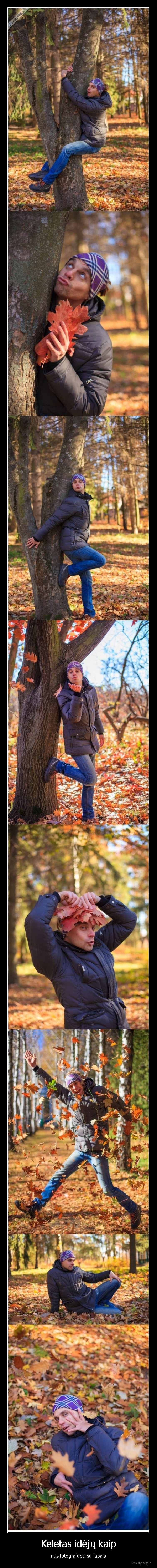 lapai,fotografuotis