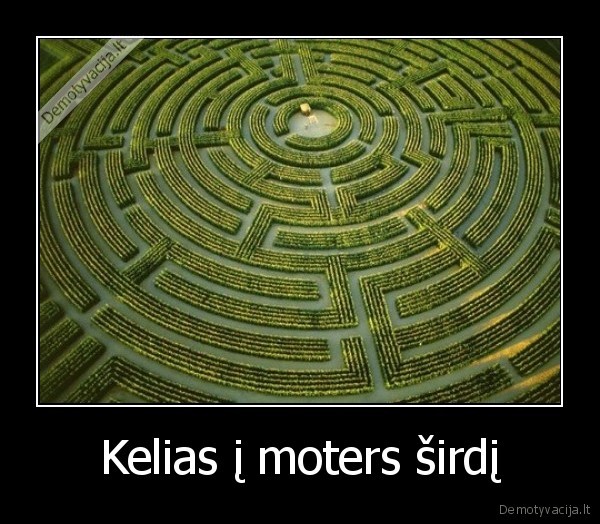 bdd, kol, ta, sirdi, pasieksi