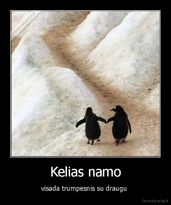 true, friends, 4, ever