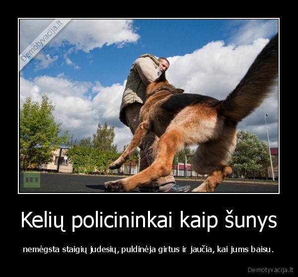 policininkai,sunys,sunis, myliu,farams,buuu