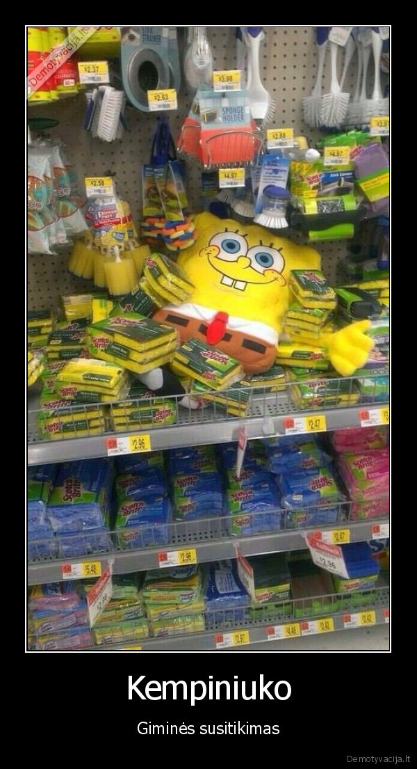 gimines, suvaziavimas,kempiniukas, placiakelnis,pliusinis, kempiniukas