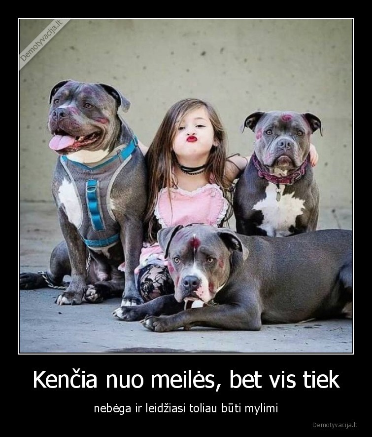 sunys,mergaite,vaikyste,suo,buciniai,lupdazis,mergaite, zaidzia, su, sunimis