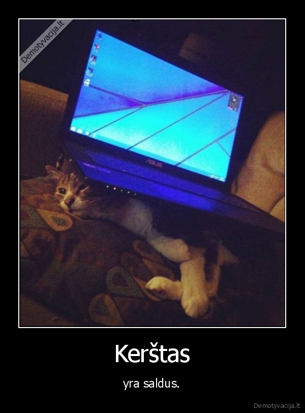kate,katinas,kerstas,kompiuteris