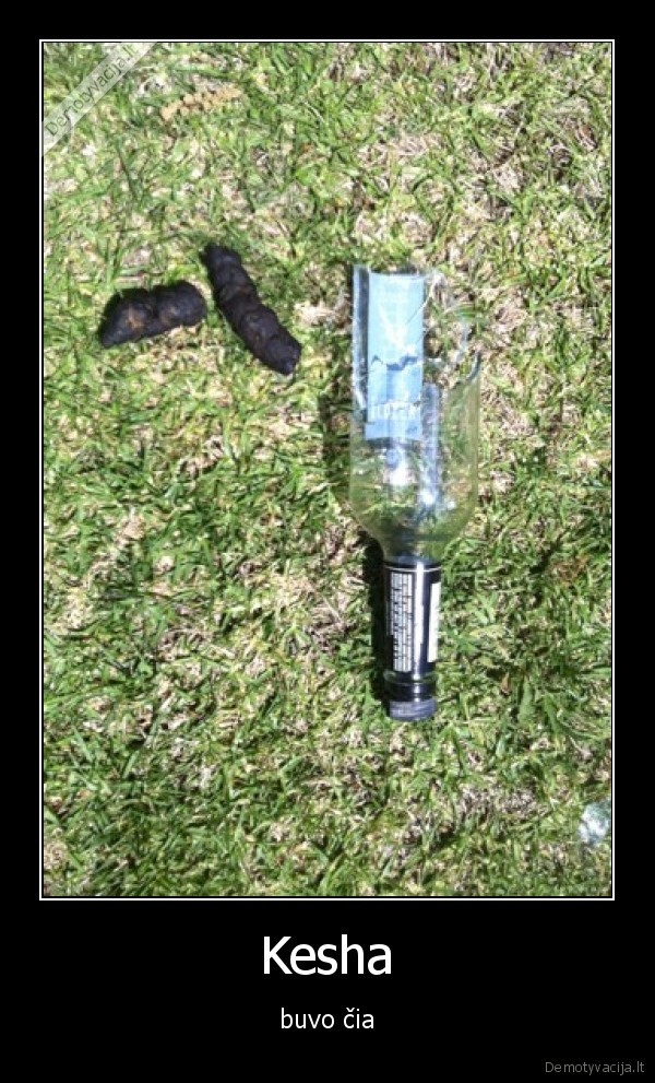 kesha,degtine,sudas