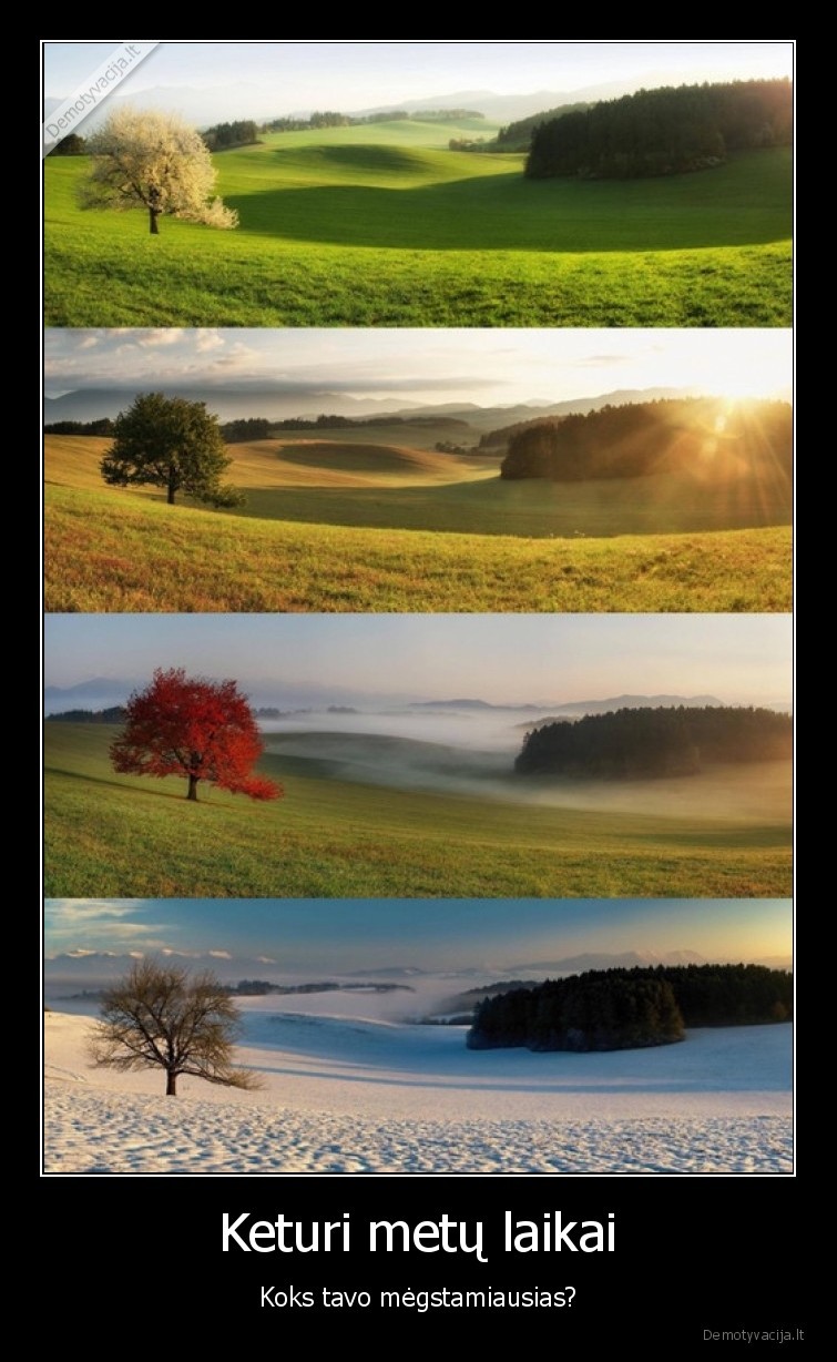keturi,metu,laikai,ruduo,ziema,vasara,pavasaris