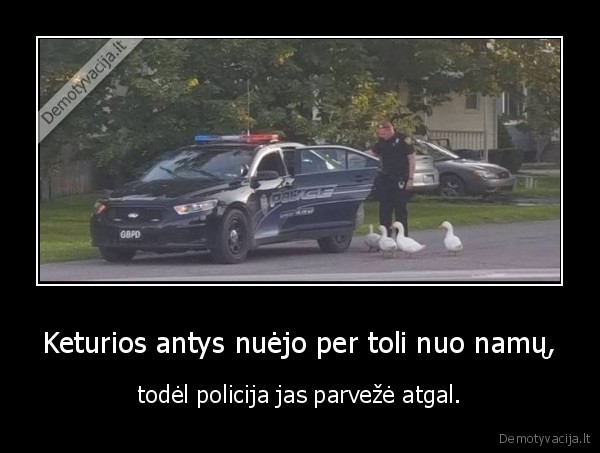 policija,antys,namai