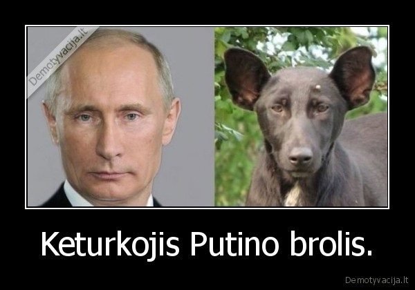keturkojis,putinas,brolis