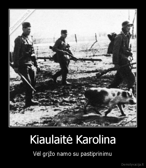 karolina,isdykele,u, tiu, tiu