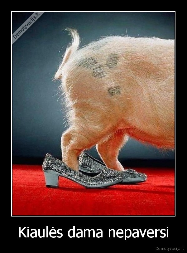 kiaule,dama,kultura,etiketas