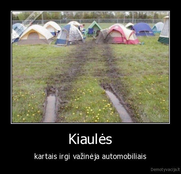Kiaulės