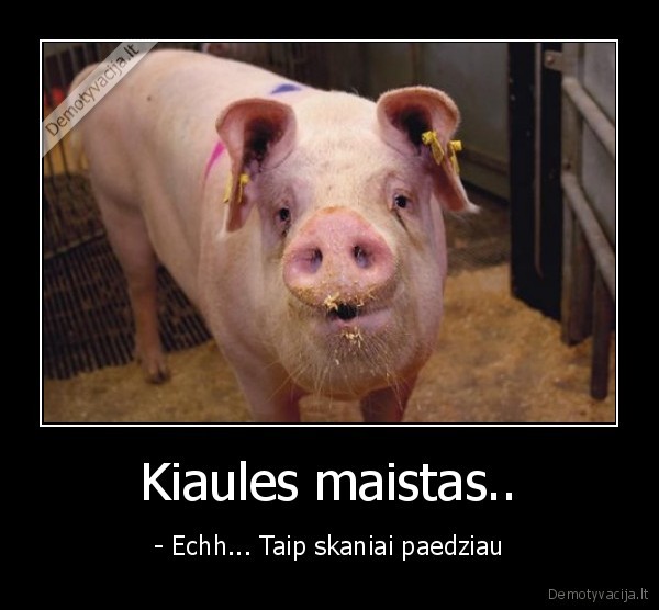 Kiaules maistas..