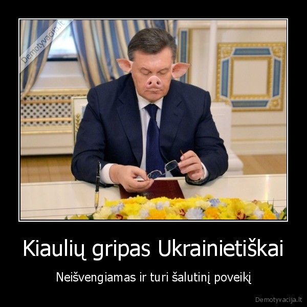 kiaules,gripas,ukraina