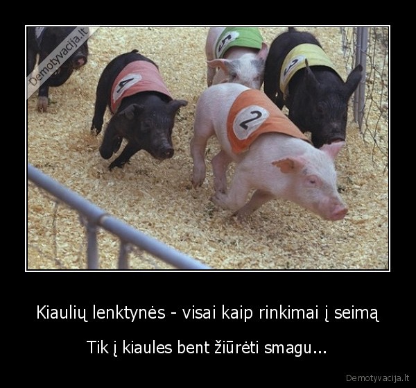 seimo, rinkimai,lenktynes,parseliu, lenktynes